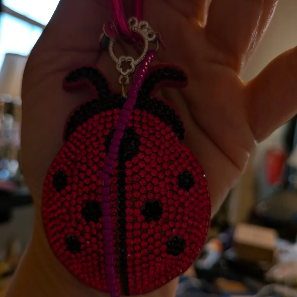 Red and Black Crystals Ladybug Pillowed Large Keychain Bag Charm